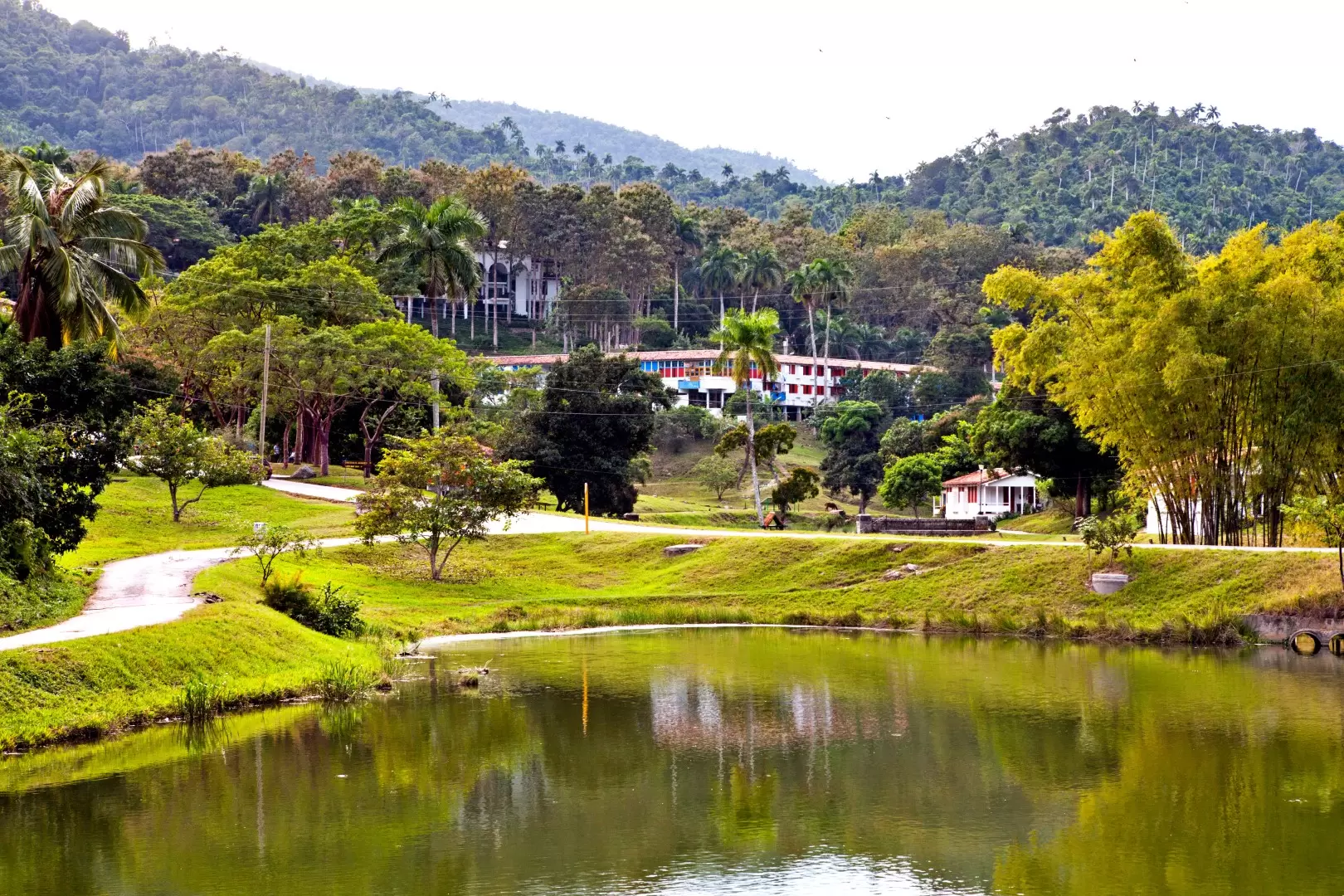 Las Terrazas, Artemisa}