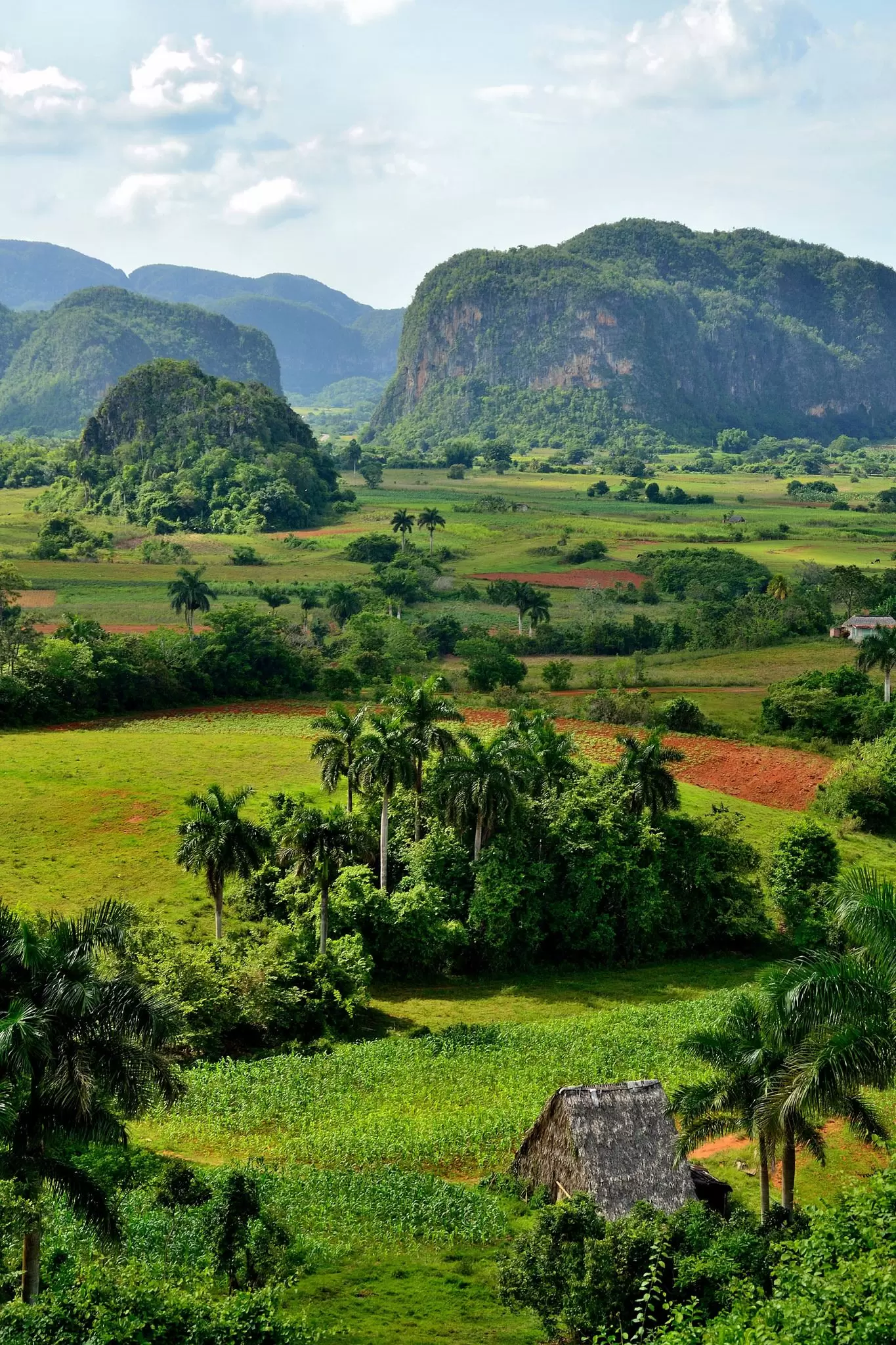Viñales