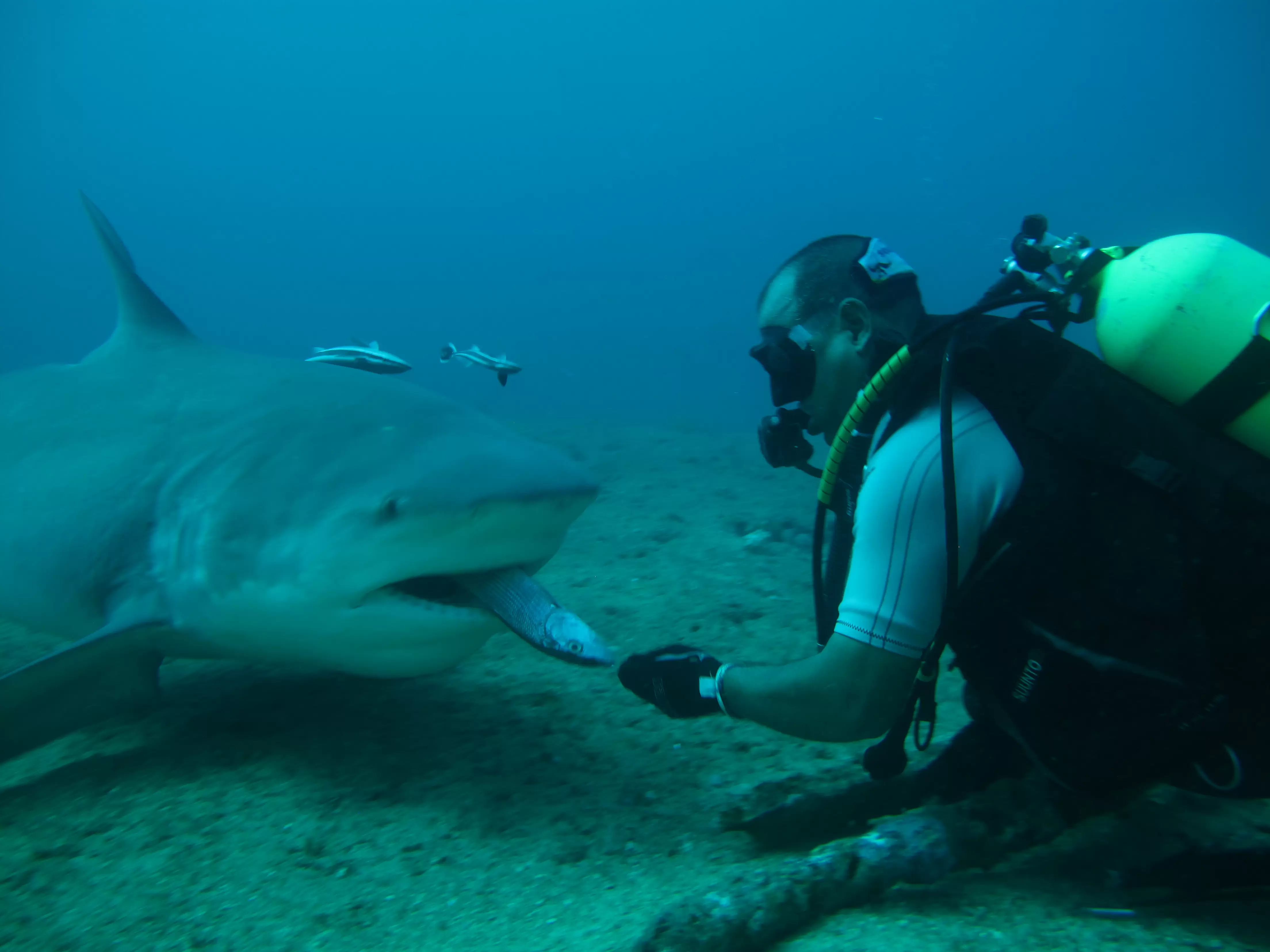 Santa Lucía, Camagüey}