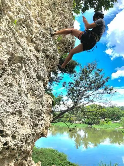 Aventura Vertical en el Bosque