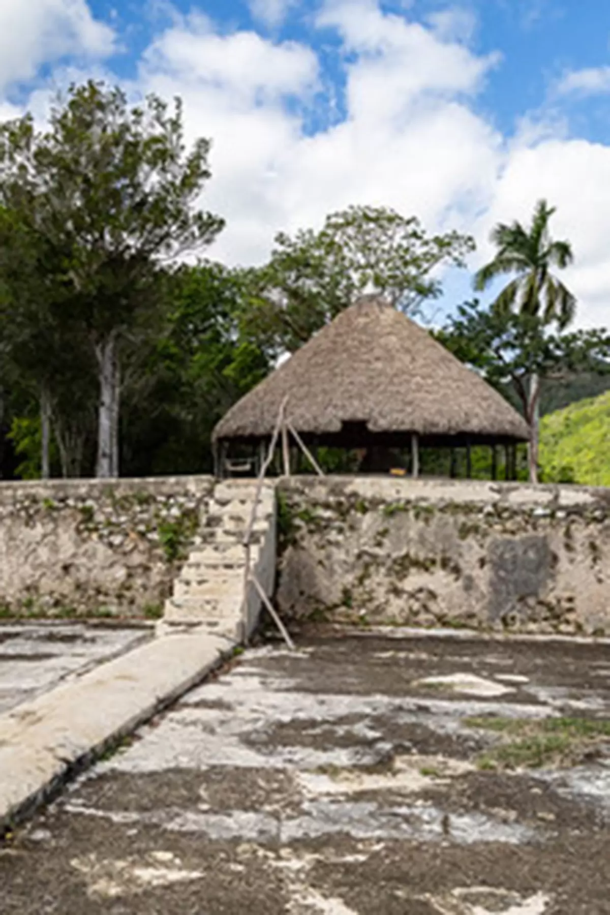 Cafetal Buena Vista